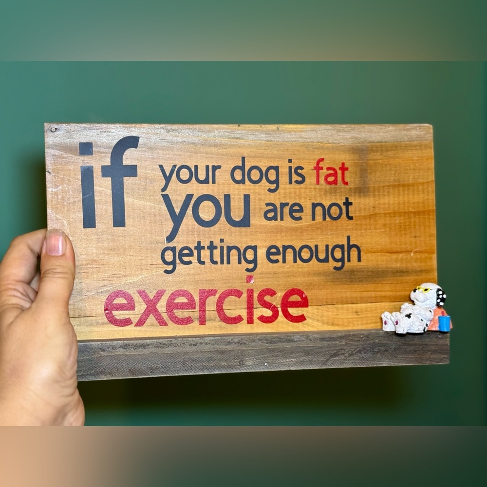 Artisan Wooden Dog Exercise Sign - Red and Black Text